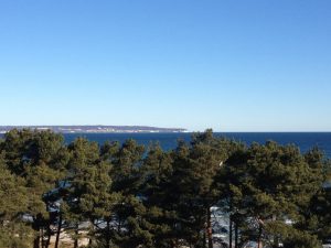 Rügen
