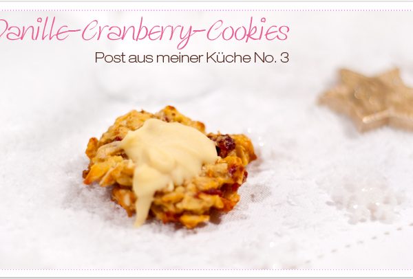Vanille-Cranberry-Cookies – PamK No.3