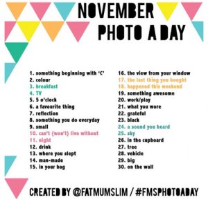 Photo A Day November