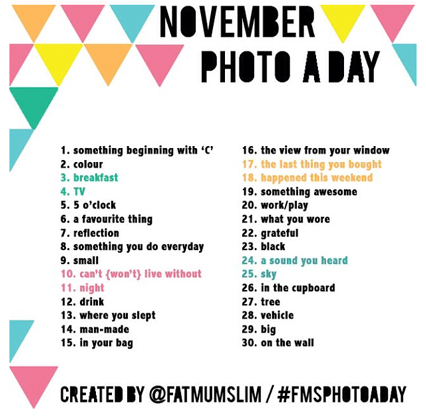 Photo A Day November