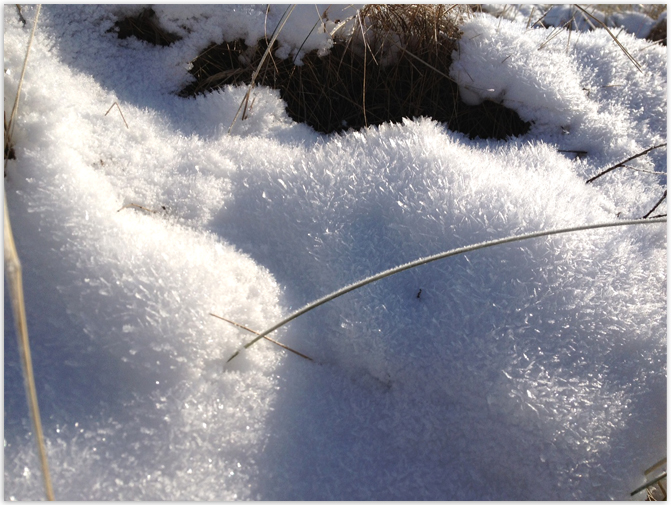 Beauty is where you find it Winterland