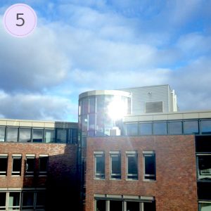 Frage 5: Heute brauchst du viel...? Sonne!