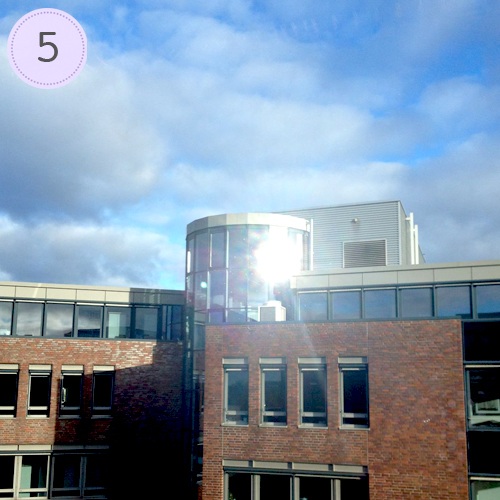 Frage 5: Heute brauchst du viel...? Sonne!
