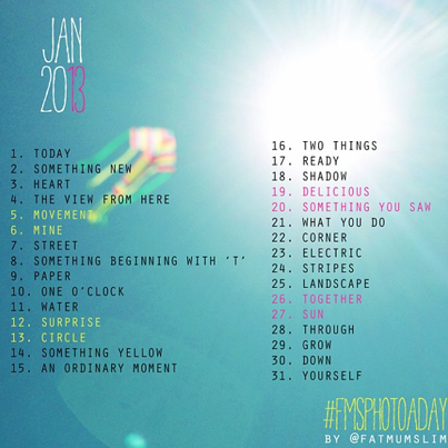 FMSphotoaday Januar 13 Liste