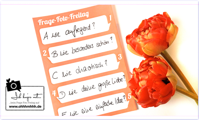 Artikel_Bild_17.05-FFF