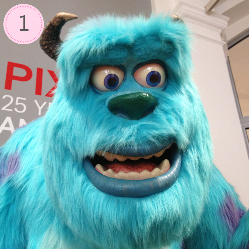 Frage1: Bild der Woche: Sully