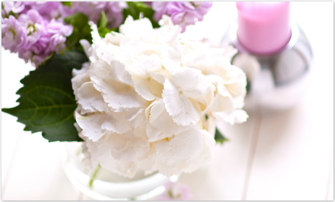 Hortensie #2flowergirls