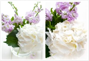 Hortensie #2flowergirls