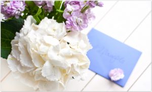 Hortensie #2flowergirls