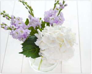 Hortensie #2flowergirls