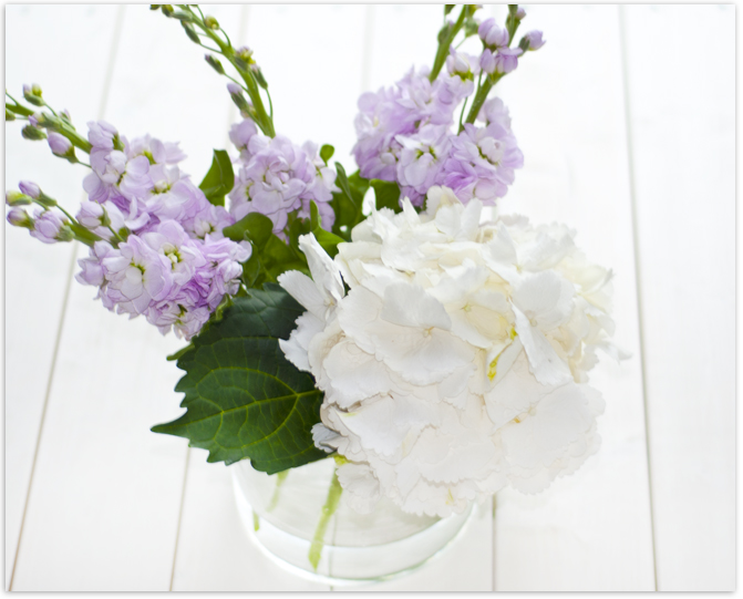 Hortensie #2flowergirls