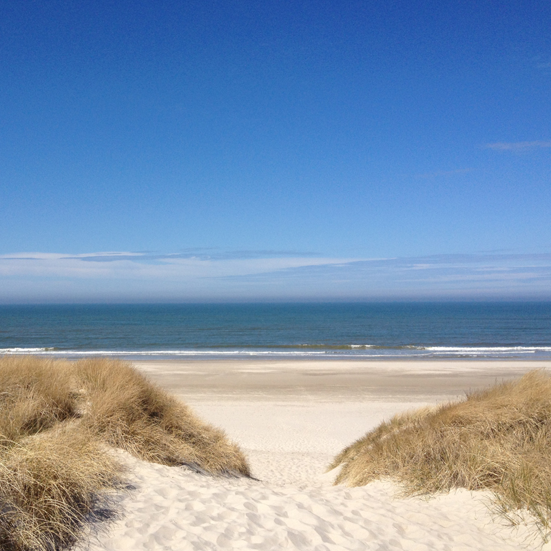 Blick durch die Dünen zum Strand