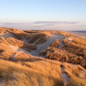 Schwindendes Sonnenlicht in den Dünen