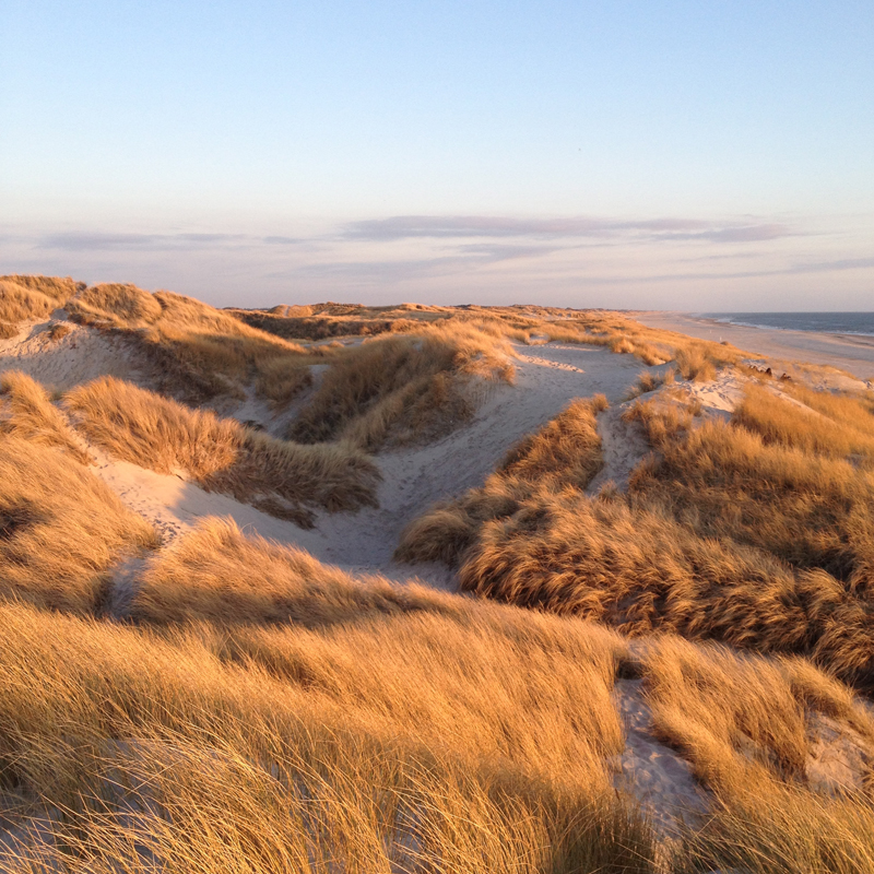 Schwindendes Sonnenlicht in den Dünen