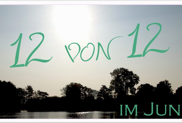 12 von 12 im Juni