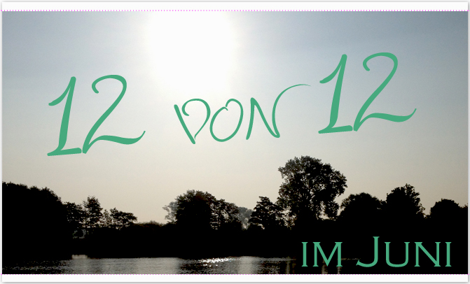 12 von 12 im Juni