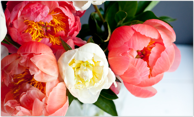 2flowergirls Pfingstrosen