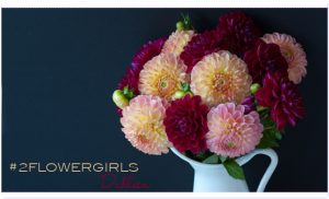 2flowergirls Dahlien Titel