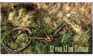 12von12 im Januar