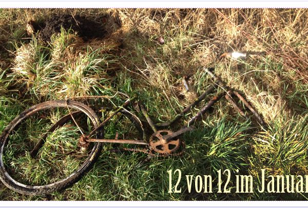 12 von 12 im Januar