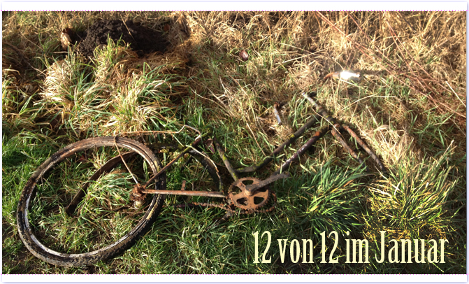 12von12 im Januar