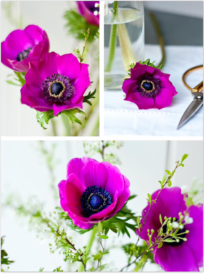 #2flowergirls Anemone purple