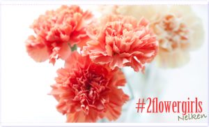 #2flowergirls Nelken Titel
