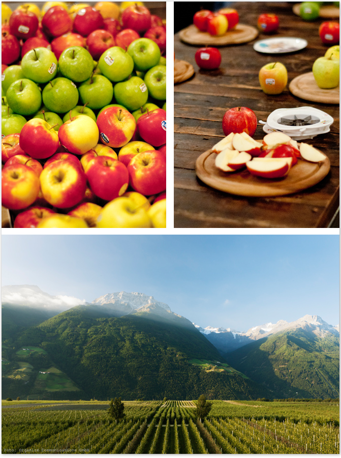 Südtiroler Apfel