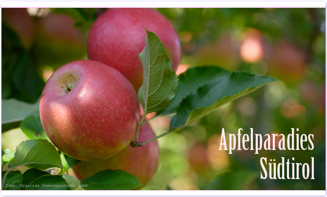 Südtiroler Apfel