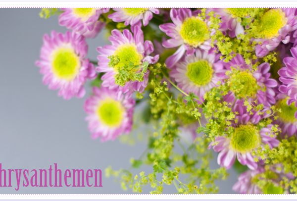 Chrysanthemen und herbstliches Vasen-DIY