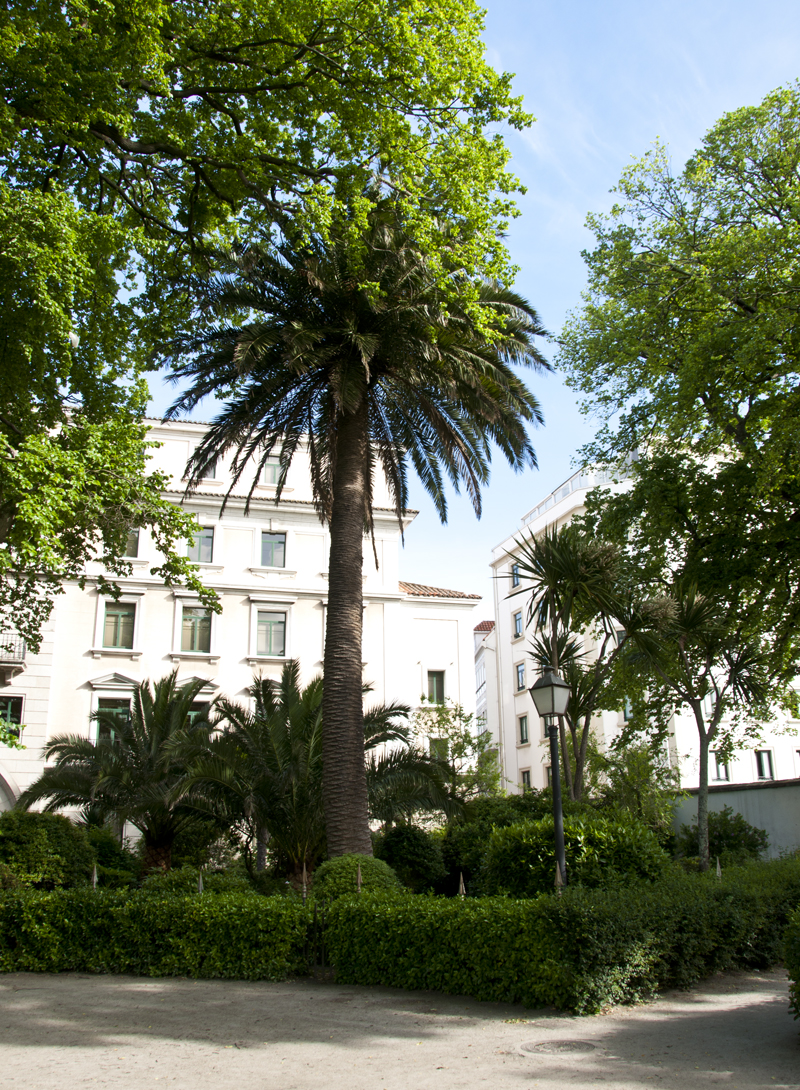 La Coruna Jardin de San Carlos