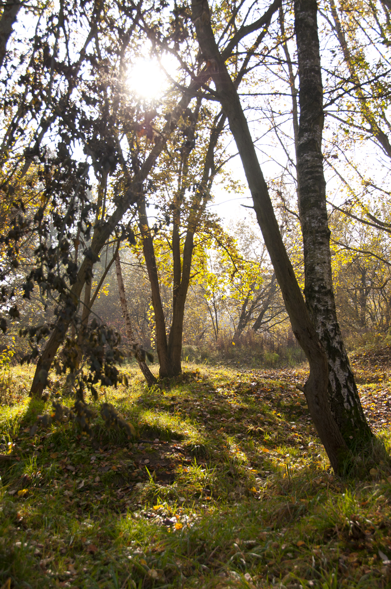 Herbstlicht