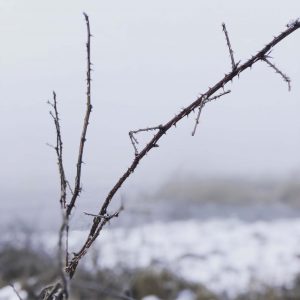 5 Fragen am Fünften im Februar