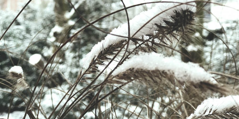 5 Fragen am Fünften im Februar