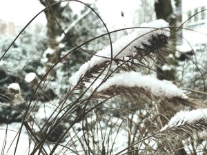 5 Fragen am Fünften im Februar