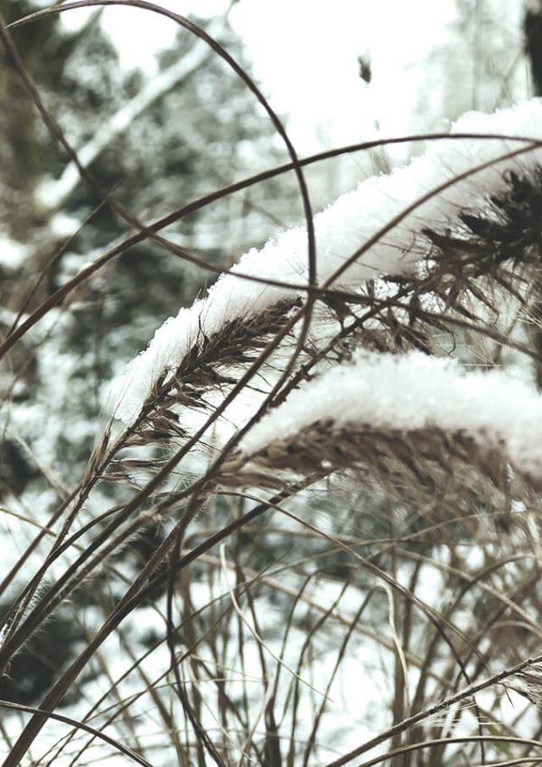 Fünf Fragen am Fünften – Aus dem Nähkästchen geplaudert im Februar
