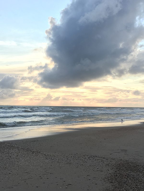 Fünf Fragen am Fünften – Aus dem Nähkästchen geplaudert im Januar