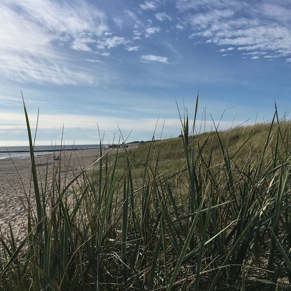 5 Fragen am Fünften im Juni