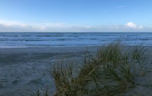 5 Fragen am Fünften Edition Januar 2019