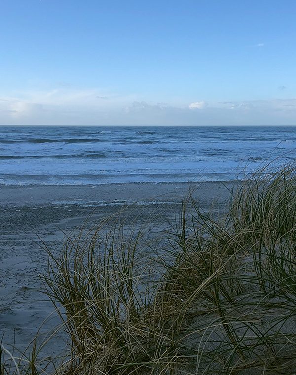 5 Fragen am Fünften – Januar 2019