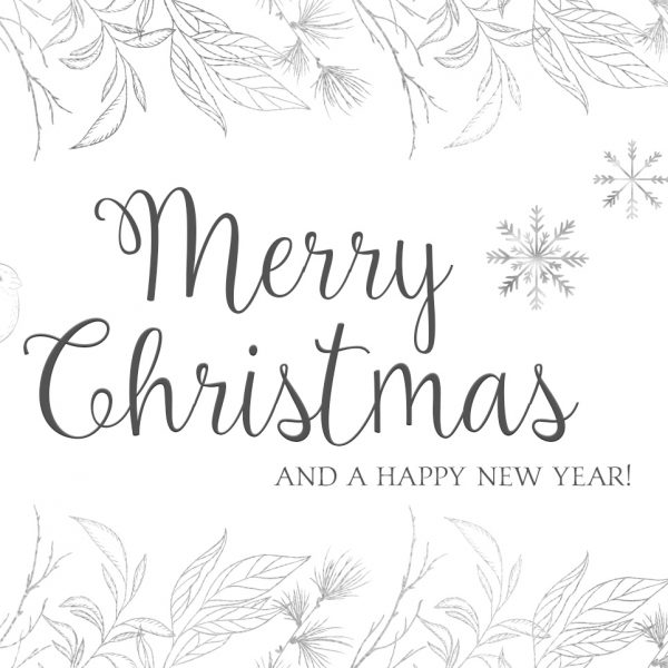 Frohe Weihnachten und einen guten Rutsch!