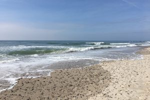 5 Fragen am Fünften Februar 2019