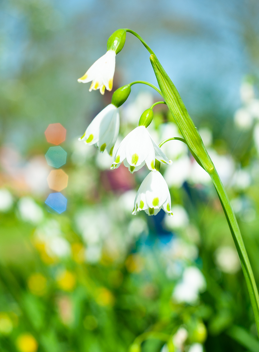 5 Fragen am Fünften April 2019