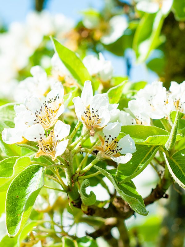 5 Fragen am Fünften – April 2019