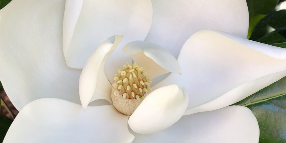 5 Fragen am Fünften Mai 2019