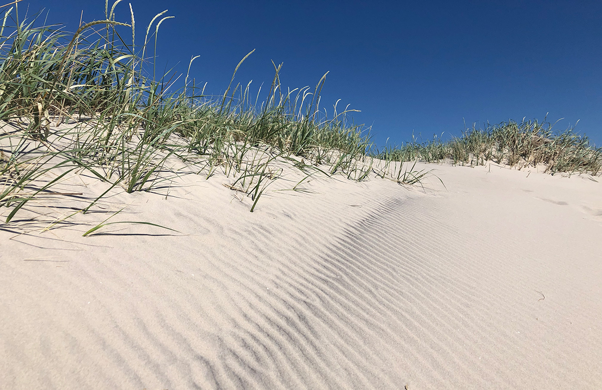 5 Fragen am Fünften Juni 2019 Sommer Editon