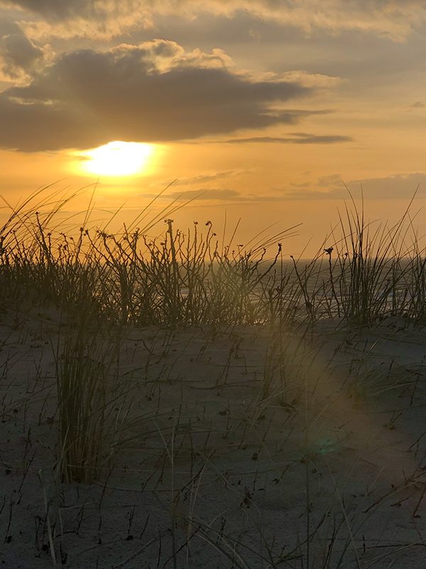 5 Fragen am Fünften – Juli 2019