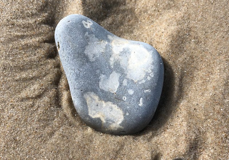 5 Fragen am Fünften Oktober 2019