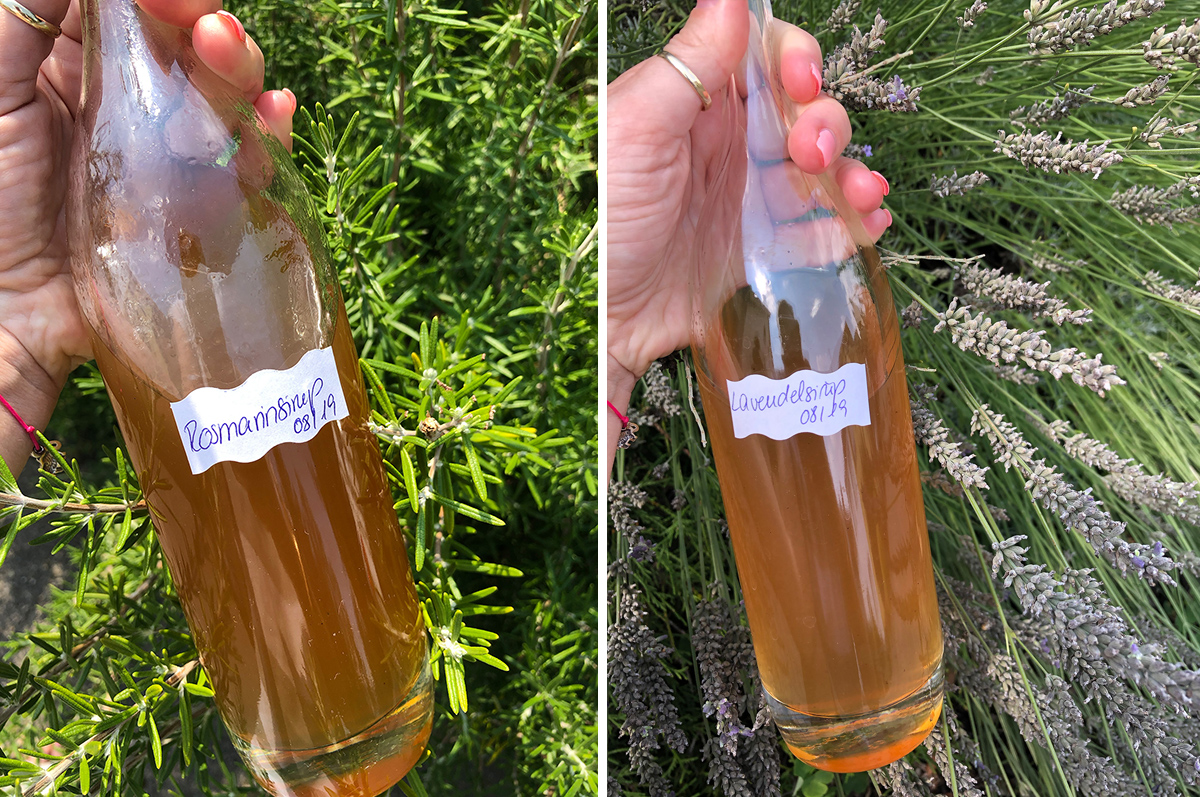 Rosmarin und Lavendelsirup